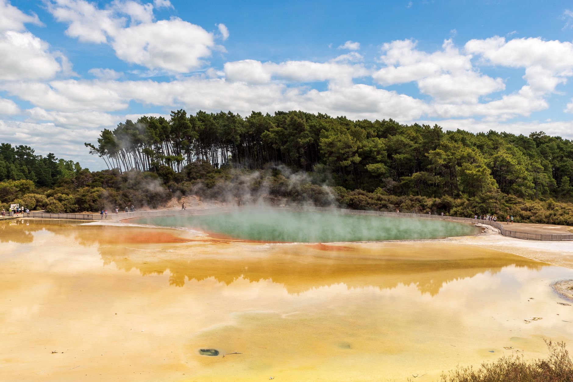 Rotorua Geothermal Parks